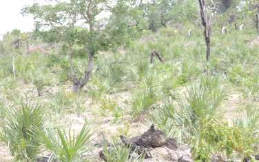 1,012 m² Residential Land at Lunga Lunga Highway