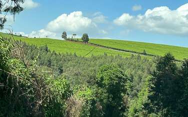 25 ac Land at Riara Ridge Road