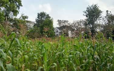 Land in Runda