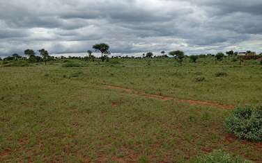21 ac Land at Amboseli National Park