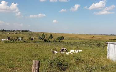 Residential Land at Tuala