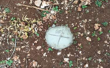 0.05 ha Residential Land at Diani Beach Road