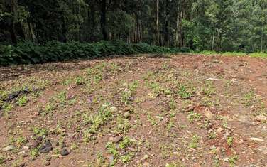 1 ac Residential Land in Kitisuru