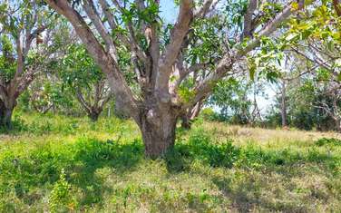 Land in Kilifi