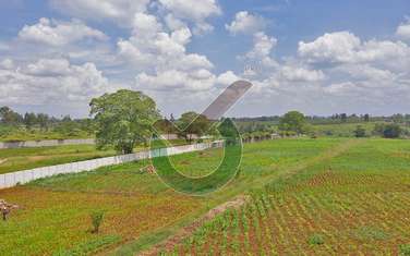 0.125 ac residential land for sale in Thika Road