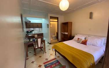 Furnished Studio Apartment with Parking at Peponi Road