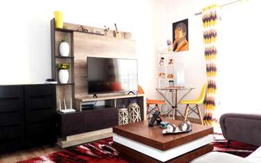 Furnished 2 bedroom apartment for rent in Tatu City