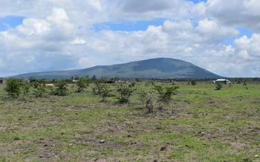 Land at Nanyuki Close To Olepejata Conservancy