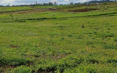 Land in Membley