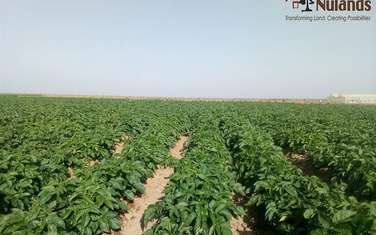 202,350 m² Land in Narok