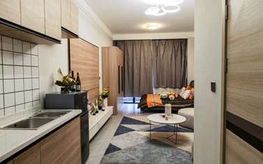 Studio Apartment with En Suite in Ruaka