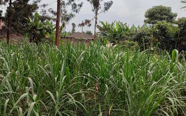 0.25 ac land for sale in Kiambu Town