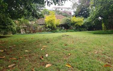 3 Bed House with En Suite in Westlands Area