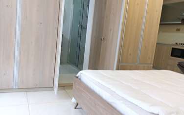 Studio Apartment with En Suite at Sports Road