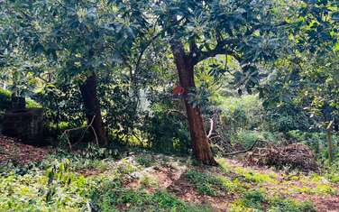 Land in Lower Kabete