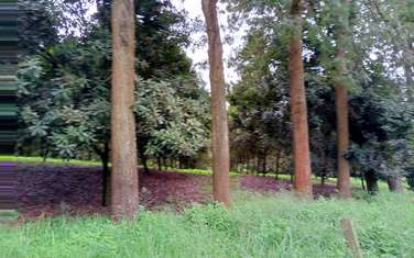 Land at Gatanga Road Past Jogoo Opposite Bahati Ridges Estate.