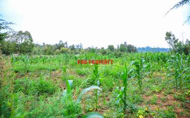 0.1 ha Residential Land at Kamangu