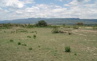 Land at Lake Elementaita
