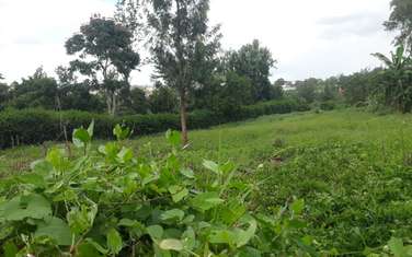 0.5 ac Residential Land in Thome
