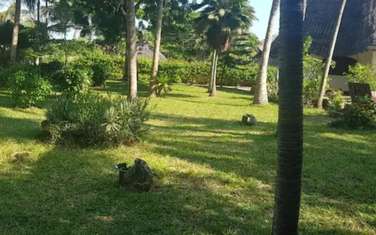 4 Bed Villa with Swimming Pool at Diani Beach Rd