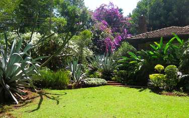 4 Bed House with Garden in Lavington