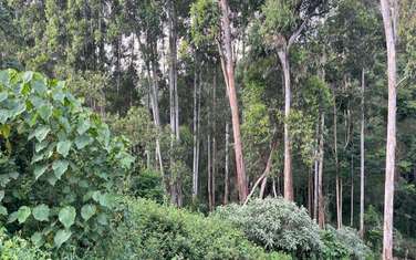 Residential Land in Nyari