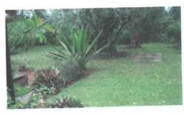 Land for sale in Kyuna