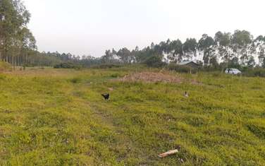 5000 ft² land for sale in Busia