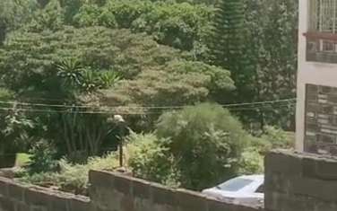 0.5 m² Land at Milimani