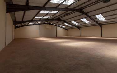 1,100 m² Warehouse with Parking in Thika Road