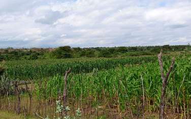 19 ac Land at Narok - Ewasongiro