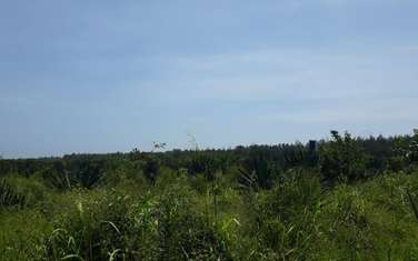1,012 m² Residential Land in Vipingo