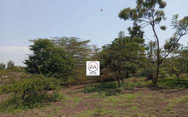 0.125 ac Commercial Land at Kimbo
