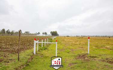 Land at Lake Naivasha