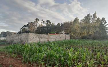 0.1 ha Residential Land in Kikuyu Town