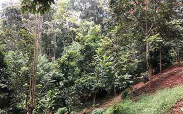 4,047 m² Residential Land in Kitisuru