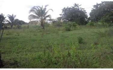 22259 m² residential land for sale in Diani