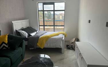 1 Bed Apartment with Borehole in Riruta