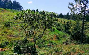 Land for sale in Kilimani