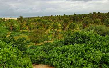 5,000 m² Land in Malindi
