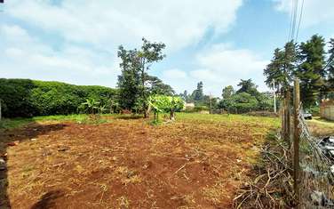 0.25 ac Land in Kinoo