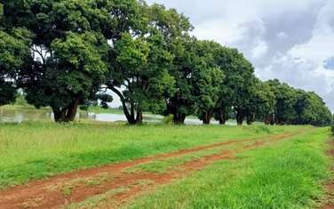 Land in Juja