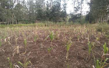 0.5 ac Residential Land in Ngong