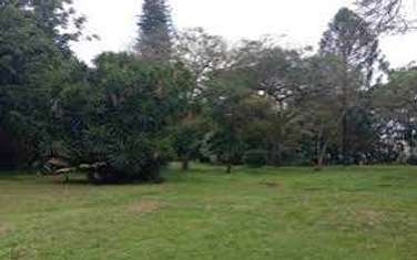 Residential Land at Jacaranda Avenue