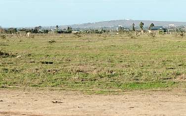 Land at Ndovoini