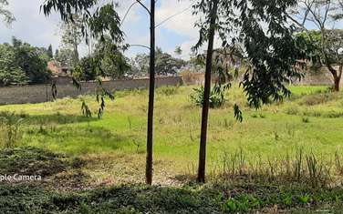 Land in Nyari