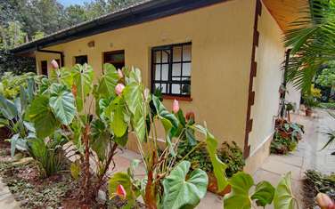 Furnished Bedsitter in Karen