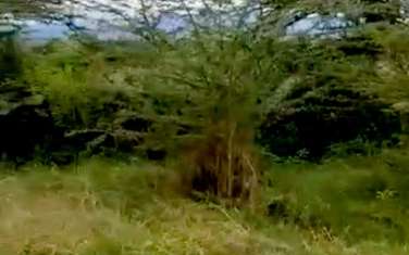 Land in Nanyuki