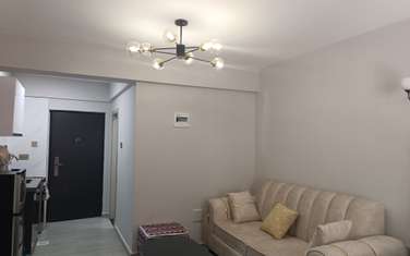 Furnished Studio Apartment with En Suite at Kileleshwa