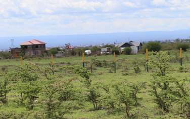 5,000 ft² Residential Land at Mwalimu Farm